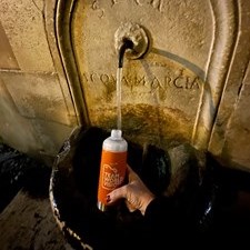 Algonquin Runners - Team World Vision