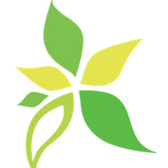 #YoungAdults | SBR | Care Center Serving Group