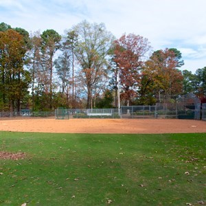 Softball Interest Group