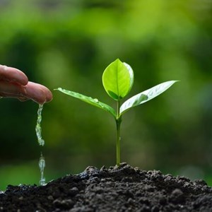 Growing Your Faith Group